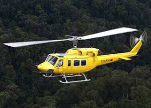 Bell 212